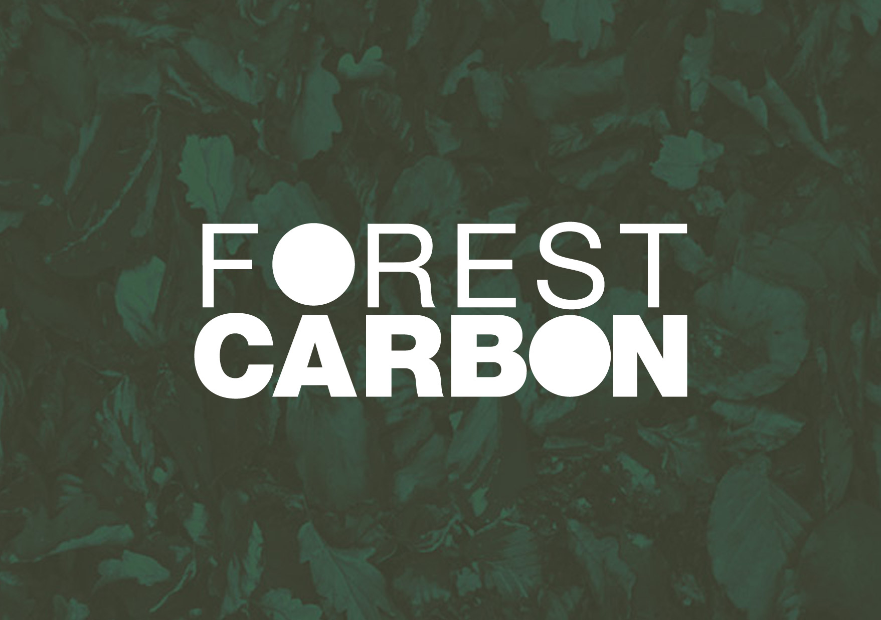 forest carbon