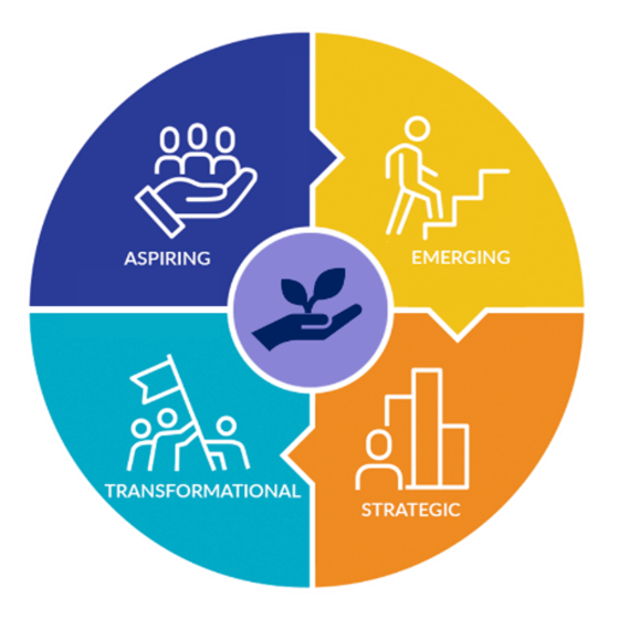 Sealand Projects pathway to netzero chart