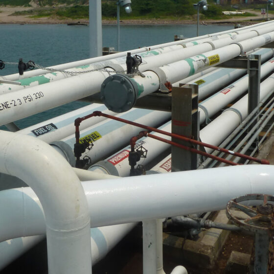 Muelle terminal flexible pipeline
