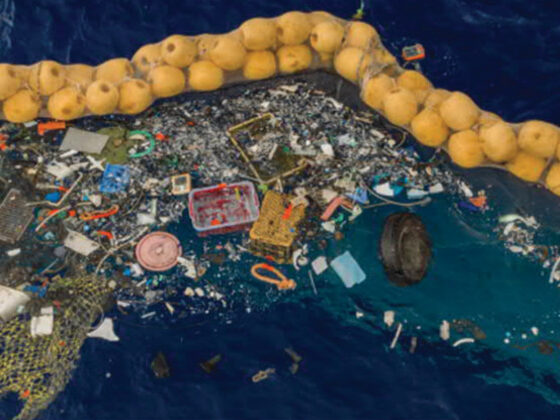 ocean clean up